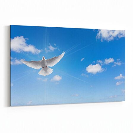 Olla 15865Y Gökyüzü Kuşlar Görseli Yatay Kanvas Tablo (Ölçü: 150X100)