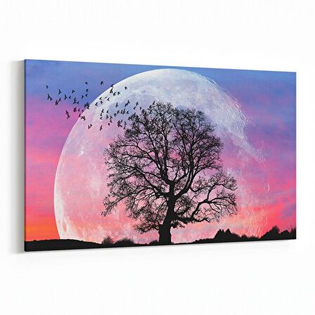 Olla 14159Y Doğa / Manzara Görseli Yatay Kanvas Tablo (Ölçü: 90X60)