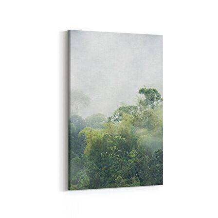 Olla 14086D Doğa / Manzara Görseli Dikey Kanvas Tablo (Ölçü: 20X30)