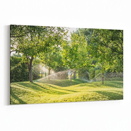 Olla 13496Y Doğa / Manzara Görseli Yatay Kanvas Tablo (Ölçü: 30X20)