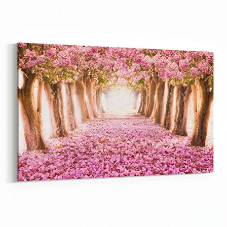 Olla 13516Y Doğa / Manzara Görseli Yatay Kanvas Tablo (Ölçü: 30X20)