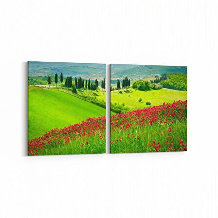 Olla 13361K2Y Doğa / Manzara Görseli Kare 2'li Yatay Kanvas Tablo (Ölçü: 105X50)
