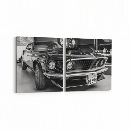 Olla 12271K2Y Araç Görseli Kare 2'li Yatay Kanvas Tablo (Ölçü: 85X40)