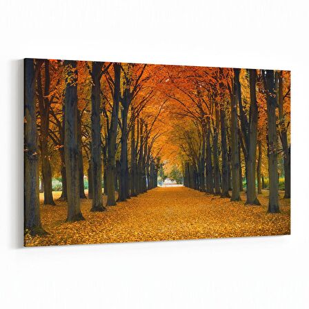 Olla 14026Y Doğa / Manzara Görseli Yatay Kanvas Tablo (Ölçü: 90X60)