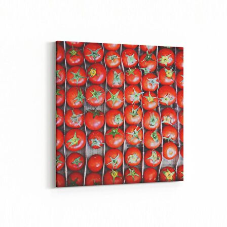 Olla 15261K Gıda Görseli Kare Kanvas Tablo (Ölçü: 30X30)