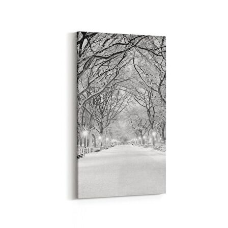 Olla 13780DD Doğa / Manzara Görseli Dikey Dar Kanvas Tablo (Ölçü: 40X80)