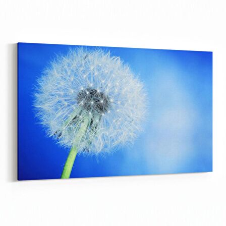 Olla 10759Y Ağaç Görseli Yatay Kanvas Tablo (Ölçü: 45X30)