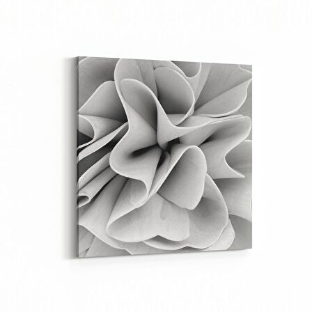 Olla 10199K Abstract Görsel Kare Kanvas Tablo (Ölçü: 25X25)