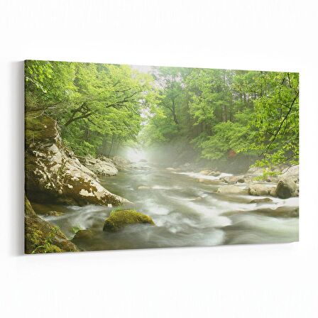 Olla 13676Y Doğa / Manzara Görseli Yatay Kanvas Tablo (Ölçü: 150X100)