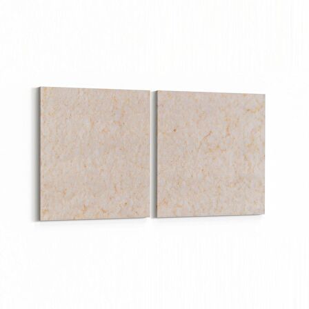 Olla 10406K2Y Abstract Görsel Kare 2'li Yatay Kanvas Tablo (Ölçü: 65X30)