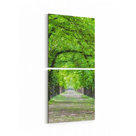 Olla 14389K2D Doğa / Manzara Görseli Kare 2'li Dikey Kanvas Tablo (Ölçü: 30X65)