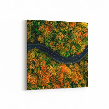 Olla 14467K Doğa / Manzara Görseli Kare Kanvas Tablo (Ölçü: 25X25)