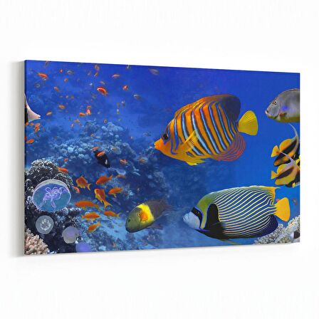 Olla 12152Y Akvaryum / Balık Görseli Yatay Kanvas Tablo (Ölçü: 150X100)