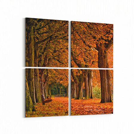Olla 13607K4 Doğa / Manzara Görseli Kare 4'lü Kanvas Tablo (Ölçü: 65X65)