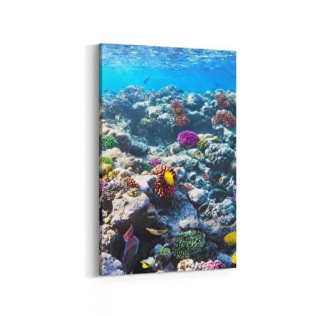 Olla 12073D Akvaryum / Balık Görseli Dikey Kanvas Tablo (Ölçü: 20X30)