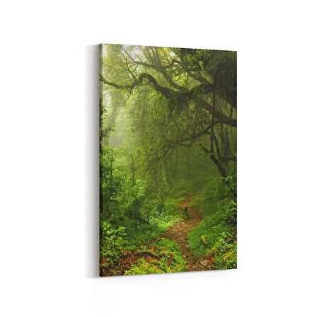 Olla 13455D Doğa / Manzara Görseli Dikey Kanvas Tablo (Ölçü: 20X30)