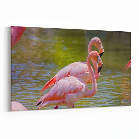 Olla 12481Y Hayvanlar Alemi Görseli Yatay Kanvas Tablo (Ölçü: 45X30)