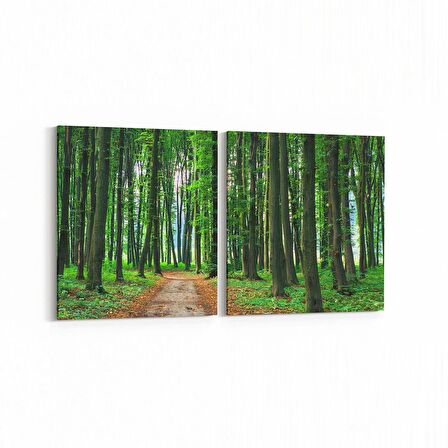 Olla 13870K2Y Doğa / Manzara Görseli Kare 2'li Yatay Kanvas Tablo (Ölçü: 65X30)