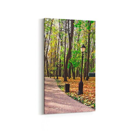 Olla 13549DD Doğa / Manzara Görseli Dikey Dar Kanvas Tablo (Ölçü: 40X80)