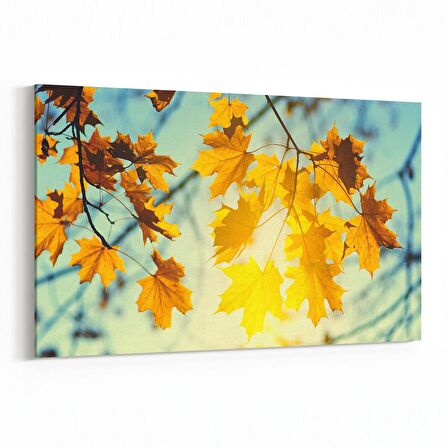 Olla 10885Y Ağaç Görseli Yatay Kanvas Tablo (Ölçü: 45X30)
