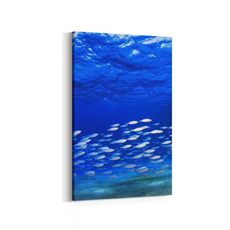 Olla 12080D Akvaryum / Balık Görseli Dikey Kanvas Tablo (Ölçü: 100X150)