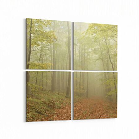 Olla 14593K4 Doğa / Manzara Görseli Kare 4'lü Kanvas Tablo (Ölçü: 145X145)