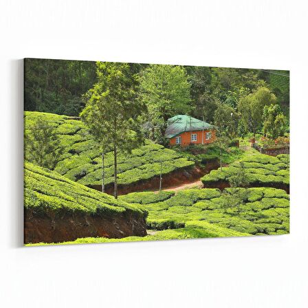 Olla 13341Y Doğa / Manzara Görseli Yatay Kanvas Tablo (Ölçü: 70X50)