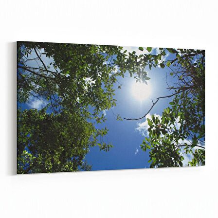 Olla 10795Y Ağaç Görseli Yatay Kanvas Tablo (Ölçü: 30X20)