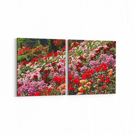 Olla 11575K2Y Çiçek Görseli Kare 2'li Yatay Kanvas Tablo (Ölçü: 105X50)