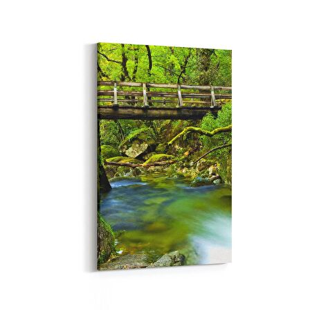 Olla 14285D Doğa / Manzara Görseli Dikey Kanvas Tablo (Ölçü: 60X90)