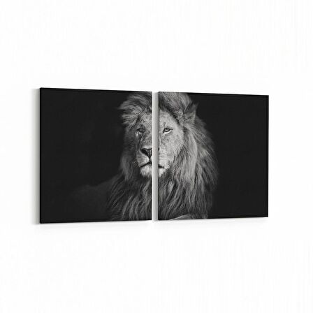 Olla 12552K2Y Hayvanlar Alemi Görseli Kare 2'li Yatay Kanvas Tablo (Ölçü: 85X40)