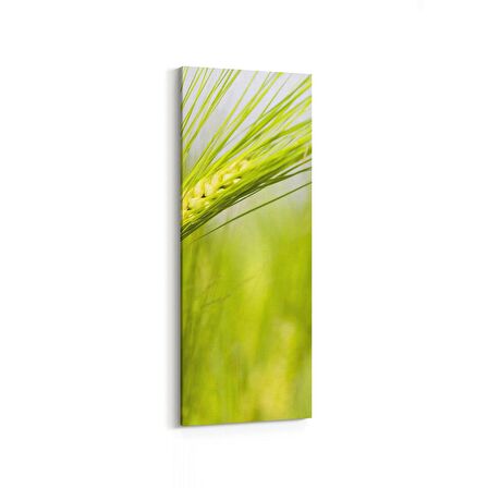 Olla 14329DI Doğa / Manzara Görseli Dikey İnce Kanvas Tablo (Ölçü: 40X120)