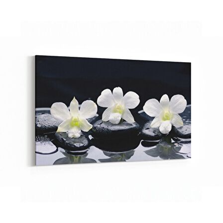 Olla 17105Y Spa / Masaj Görseli Yatay Kanvas Tablo (Ölçü: 150X100)