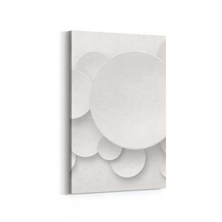 Olla 10447D Beyaz Kabartma Görseli Dikey Kanvas Tablo (Ölçü: 100X150)
