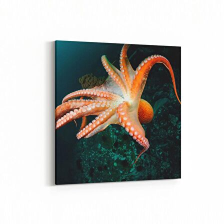Olla 12963K Deniz / Okyanus Görseli Kare Kanvas Tablo (Ölçü: 25X25)