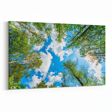 Olla 10516Y Ağaç Görseli Yatay Kanvas Tablo (Ölçü: 30X20)