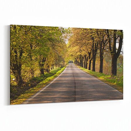 Olla 13579Y Doğa / Manzara Görseli Yatay Kanvas Tablo (Ölçü: 90X60)