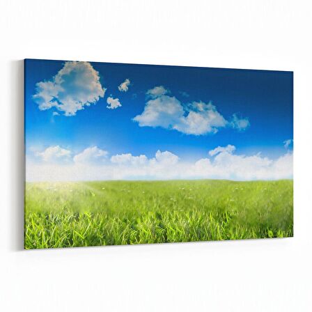 Olla 13798Y Doğa / Manzara Görseli Yatay Kanvas Tablo (Ölçü: 120X80)