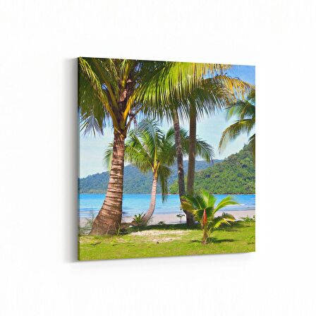 Olla 16606K Kumsal / Sahil Görseli Kare Kanvas Tablo (Ölçü: 25X25)