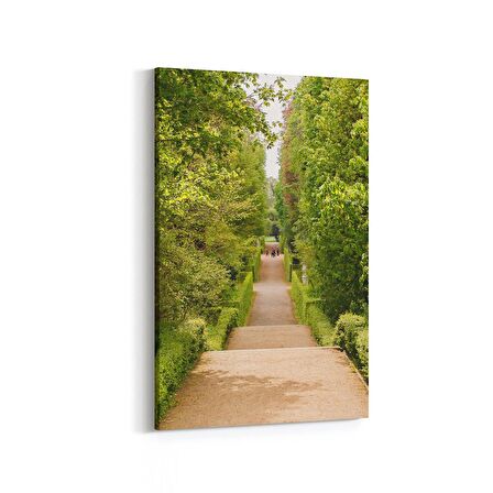 Olla 13757D Doğa / Manzara Görseli Dikey Kanvas Tablo (Ölçü: 60X90)