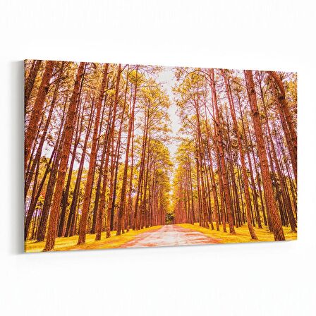 Olla 14101Y Doğa / Manzara Görseli Yatay Kanvas Tablo (Ölçü: 120X80)