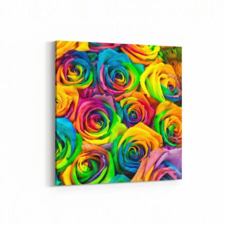 Olla 11560K Çiçek Görseli Kare Kanvas Tablo (Ölçü: 30X30)