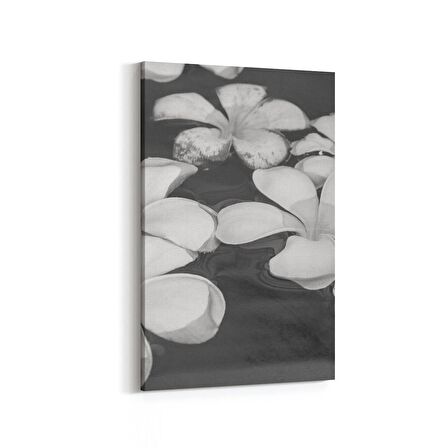 Olla 17076D Spa / Masaj Görseli Dikey Kanvas Tablo (Ölçü: 20X30)