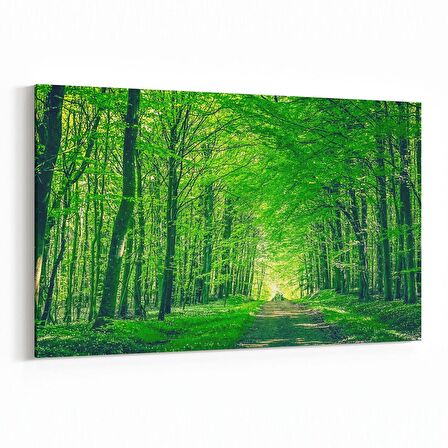 Olla 14091Y Doğa / Manzara Görseli Yatay Kanvas Tablo (Ölçü: 90X60)