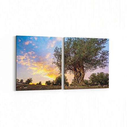 Olla 14373K2Y Doğa / Manzara Görseli Kare 2'li Yatay Kanvas Tablo (Ölçü: 85X40)