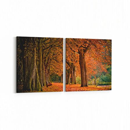 Olla 13607K2Y Doğa / Manzara Görseli Kare 2'li Yatay Kanvas Tablo (Ölçü: 145X70)