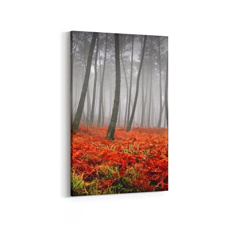 Olla 14280D Doğa / Manzara Görseli Dikey Kanvas Tablo (Ölçü: 60X90)
