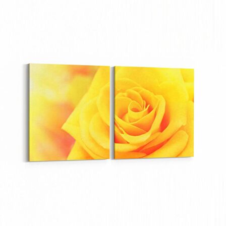 Olla 11592K2Y Çiçek Görseli Kare 2'li Yatay Kanvas Tablo (Ölçü: 145X70)