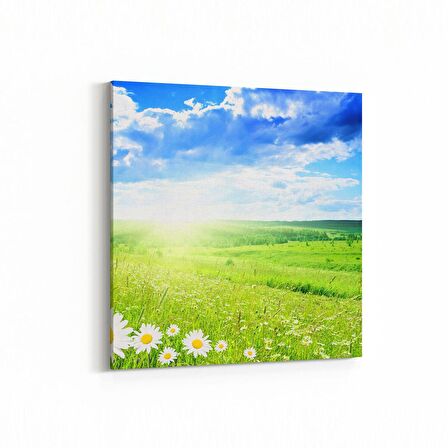 Olla 13754K Doğa / Manzara Görseli Kare Kanvas Tablo (Ölçü: 30X30)