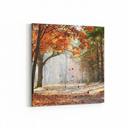Olla 14558K Doğa / Manzara Görseli Kare Kanvas Tablo (Ölçü: 30X30)